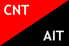 Коммюнике конгресса по реорганизации CNT-AIT