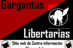 Венесуэла: заявление анархистов о новом этапе борьбы за власть в стране