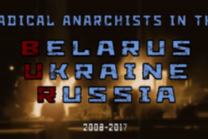 Radical Anarchists in the BUR 2008-2017
