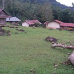 Ikarus начали проект в защиту природы в Индонезии