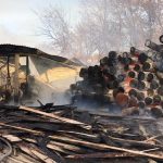Сибирь: партизанская война против вырубки леса?
