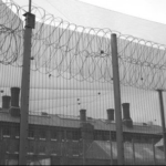 Тоби Шоун: за кампанию против тюремного рабства