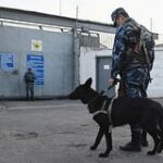 В Екатеринбурге двое обвиняемых в поджоге военкомата сбежали из СИЗО-1