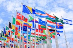 «Добровольное» гражданство и другие политические мифы