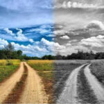 Стратегии анархизма в зависимости от представления о его сущности